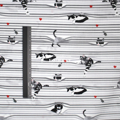 cotton - Peekaboo Shade Cats fabric