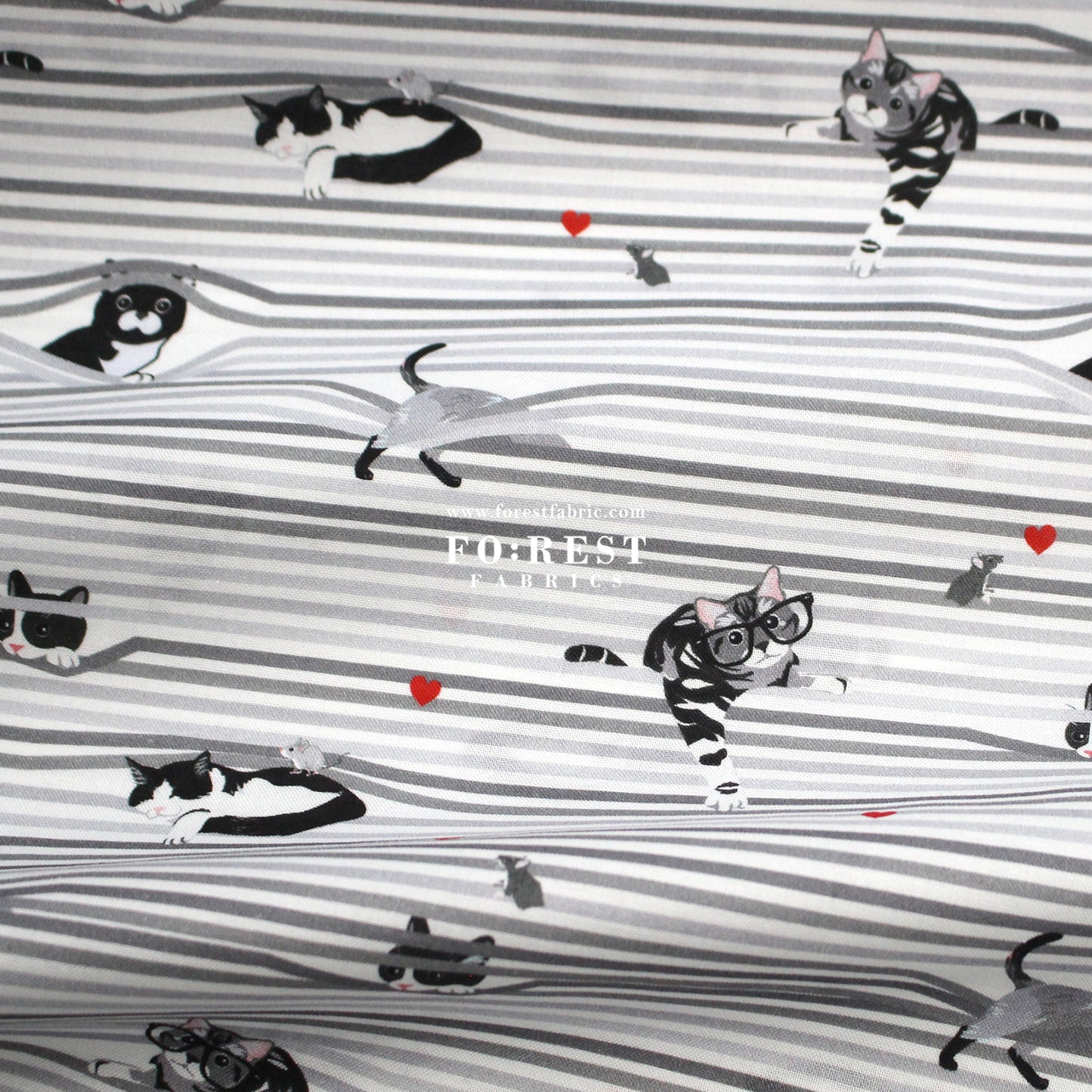 cotton - Peekaboo Shade Cats fabric