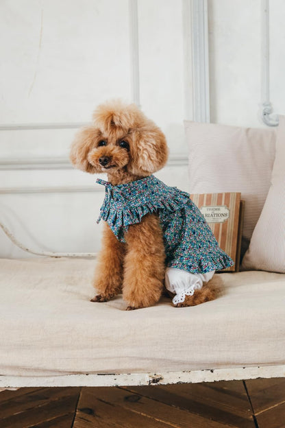 Craft Books - Stylish dog clothes