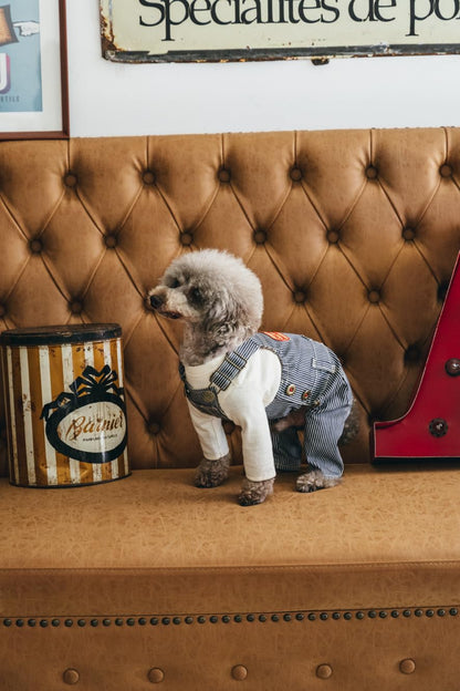 Craft Books - Stylish dog clothes