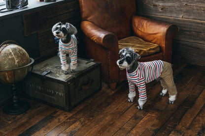 Craft Books - Stylish dog clothes