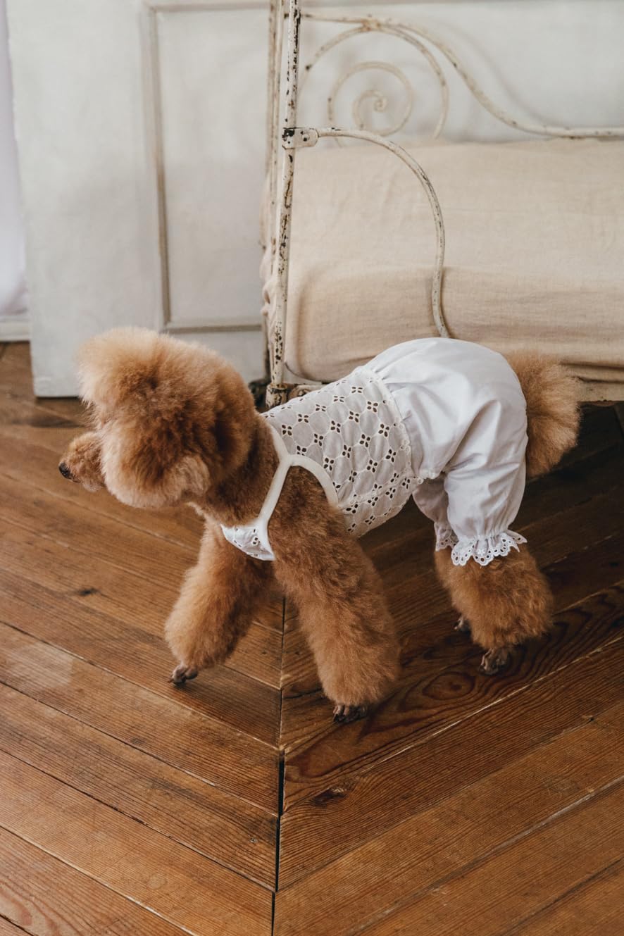 Craft Books - Stylish dog clothes